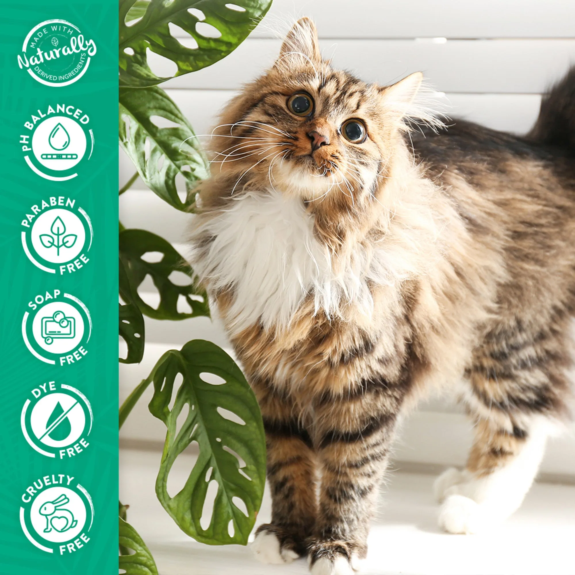 20% OFF: TropiClean Berry & Coconut Deep Cleansing Shampoo For Cats