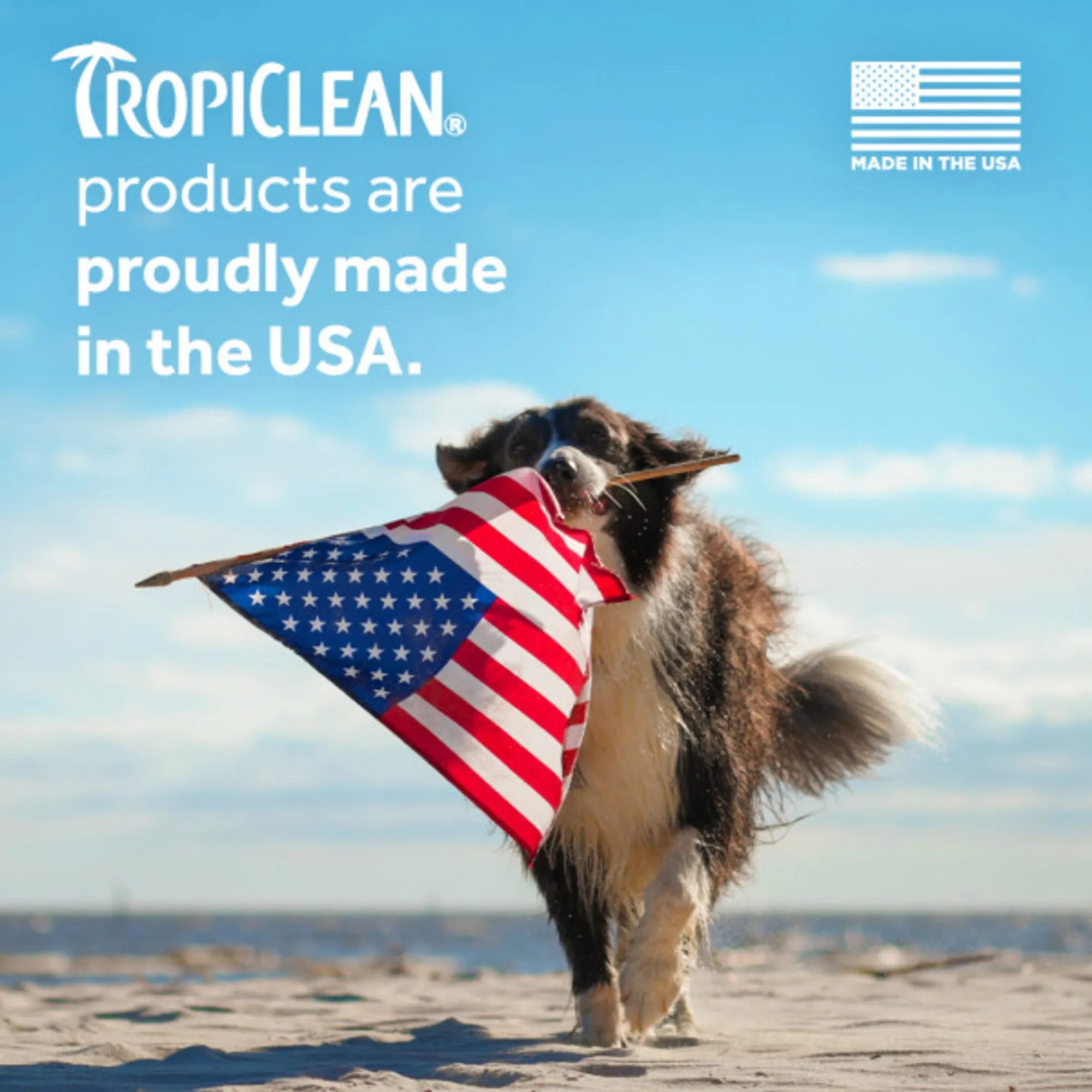 20% OFF: TropiClean Berry & Coconut Deep Cleansing Shampoo For Cats
