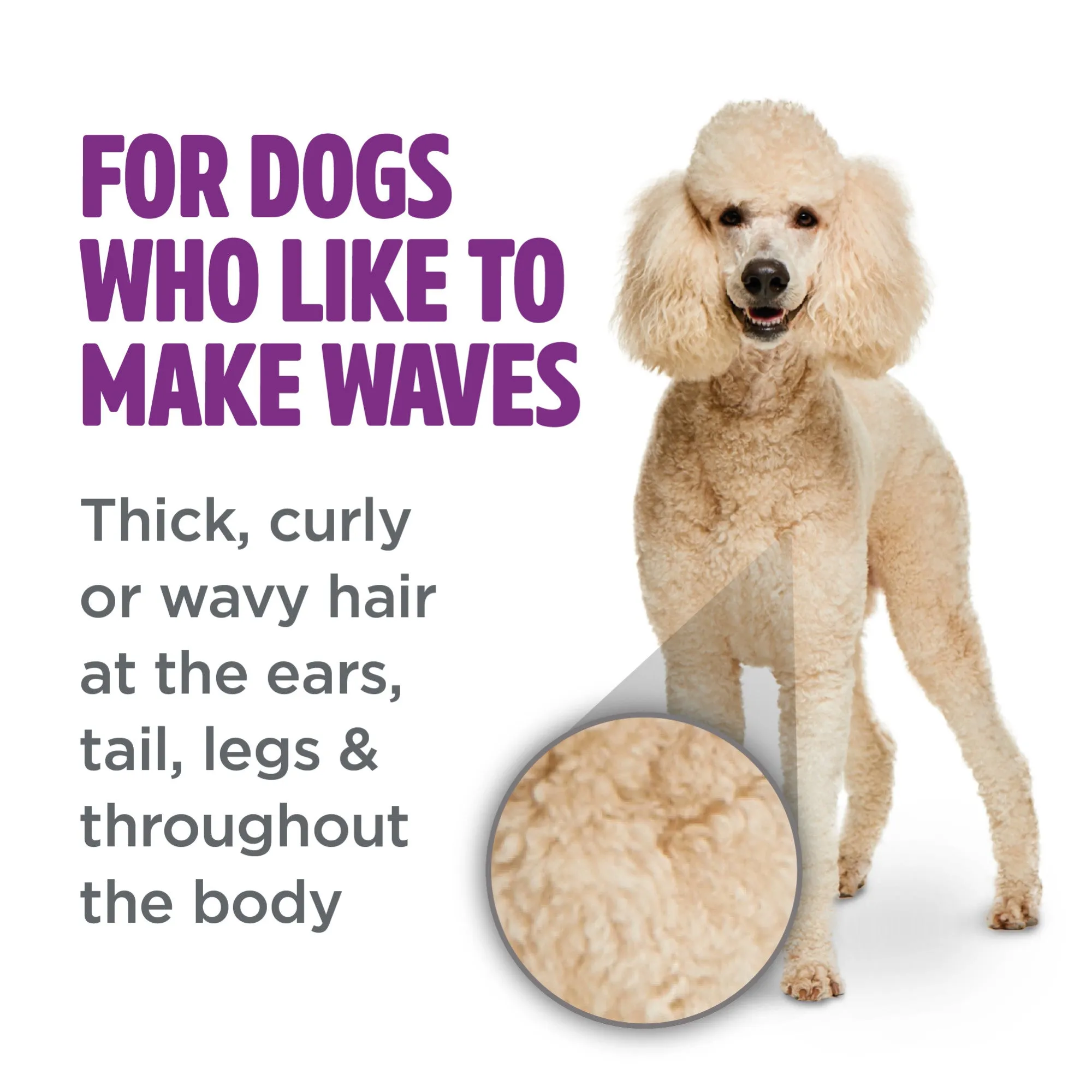 20% OFF: Tropiclean PerfectFur™ Curly & Wavy Coat Shampoo For Dogs