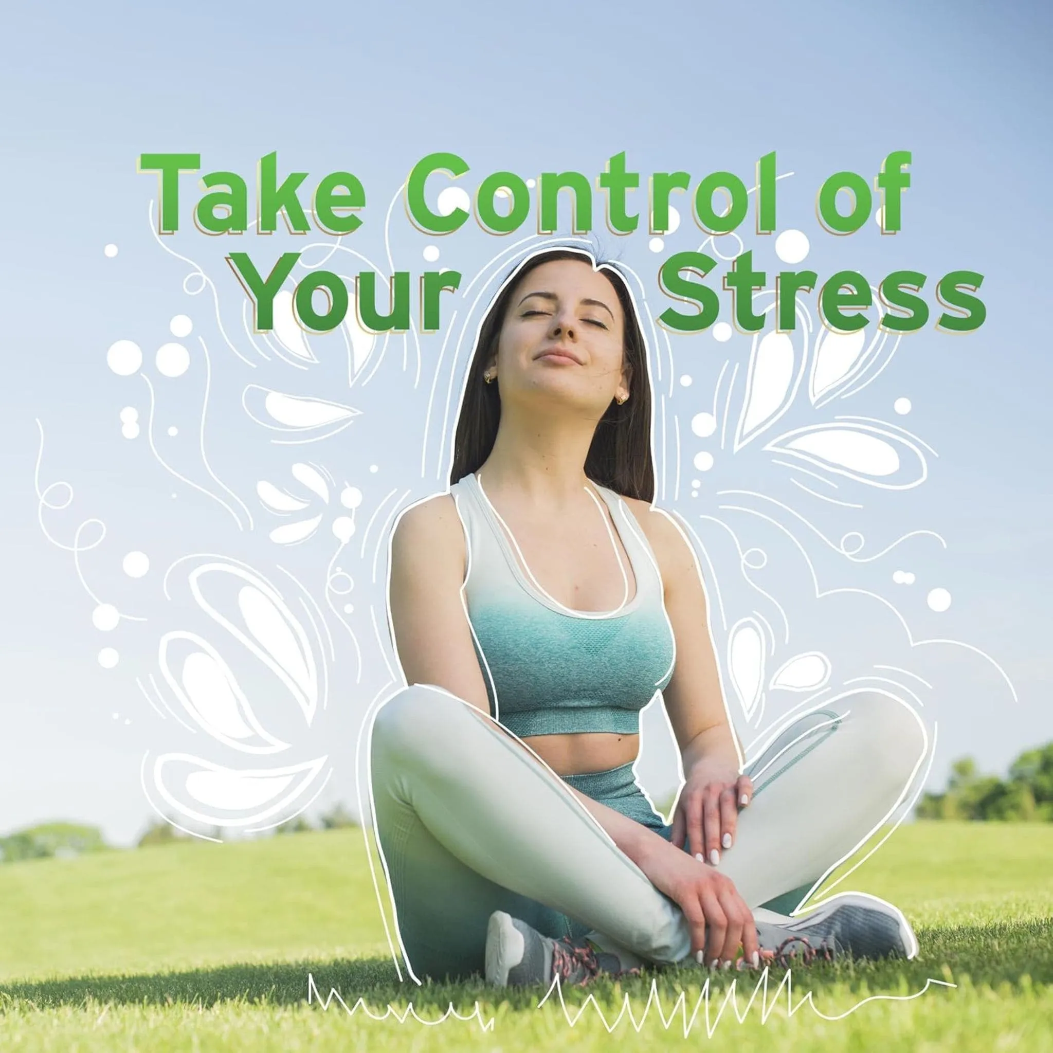 Leaf Source Stress Complex with Ashwagandha, Relieves Stress Symptoms, 60 Vegetable Capsules