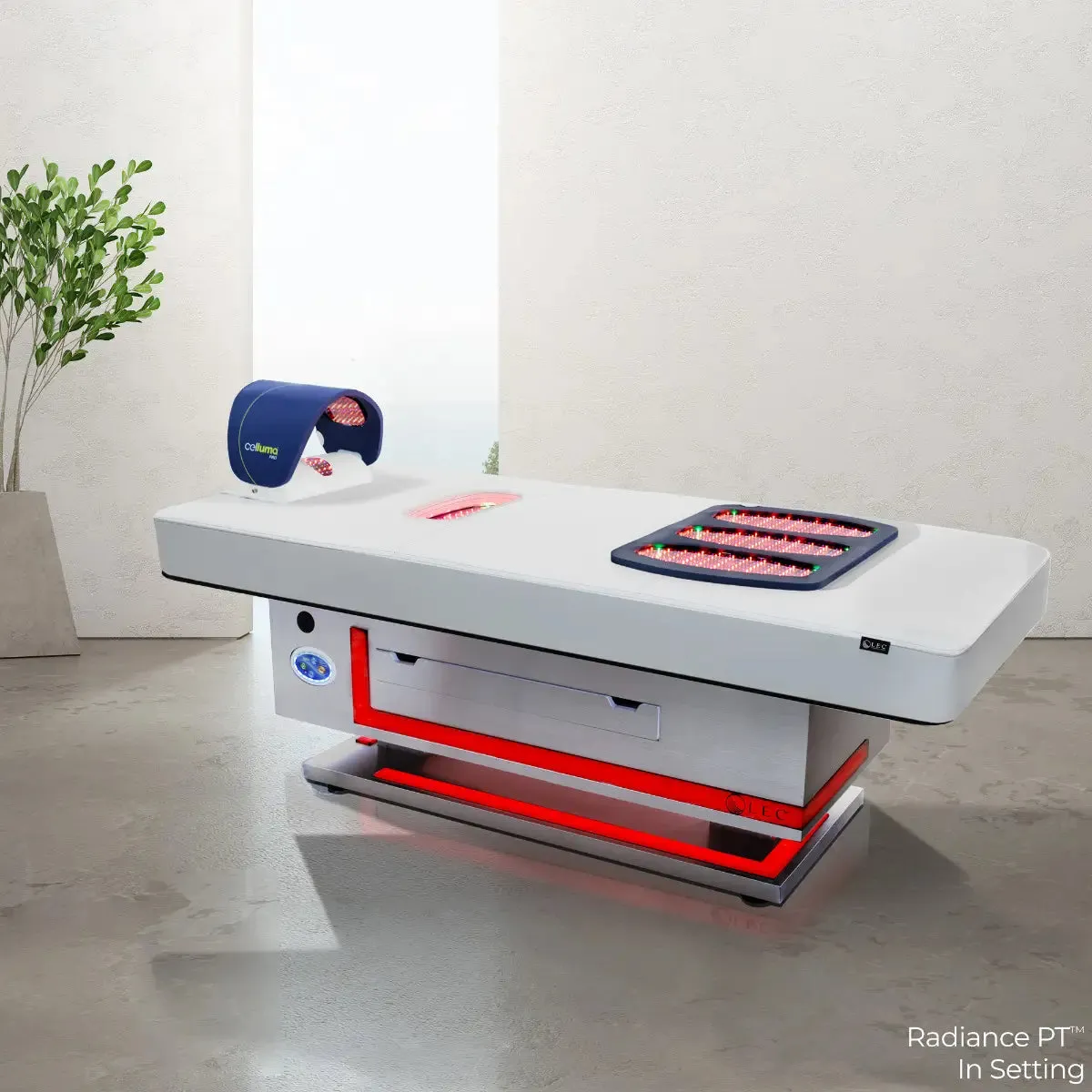 Living Earth Crafts Radiance PT Treatment Table