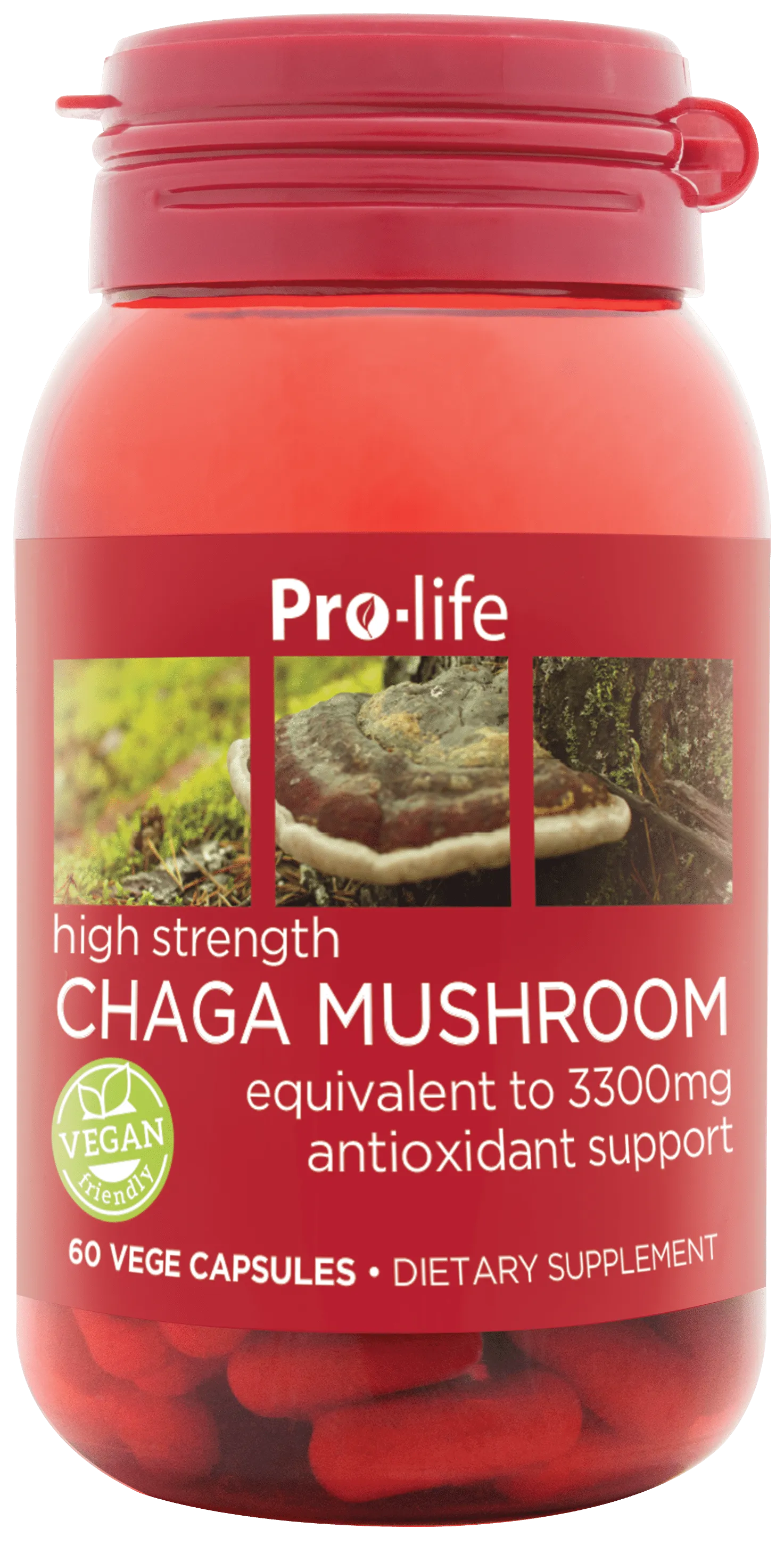 Pro-Life High Strength Chaga Mushroom