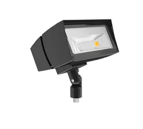 RAB Lighting FFLED39 39W LED Floodlight