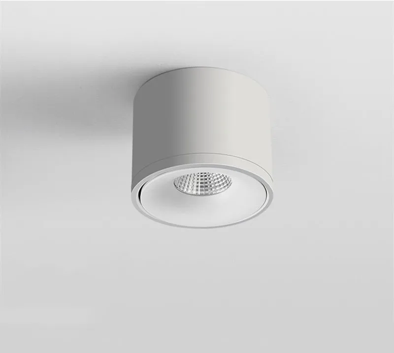 Sidra Ceiling Light - Open Box