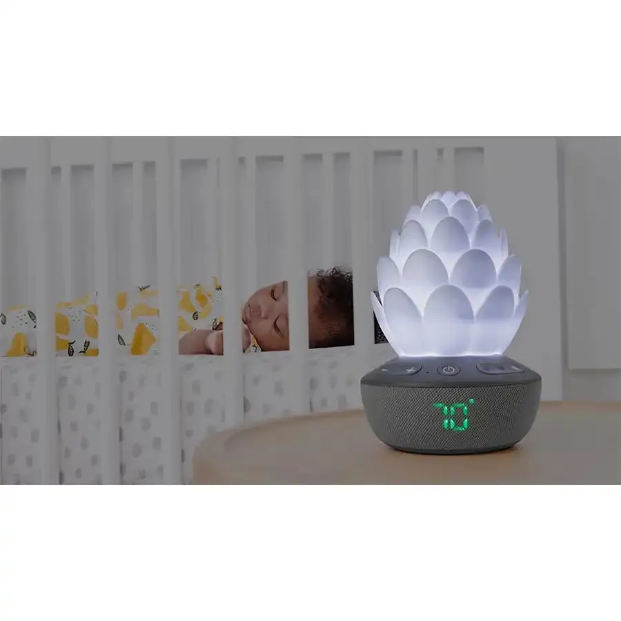 Skip Hop Terra Cry Activated Soother