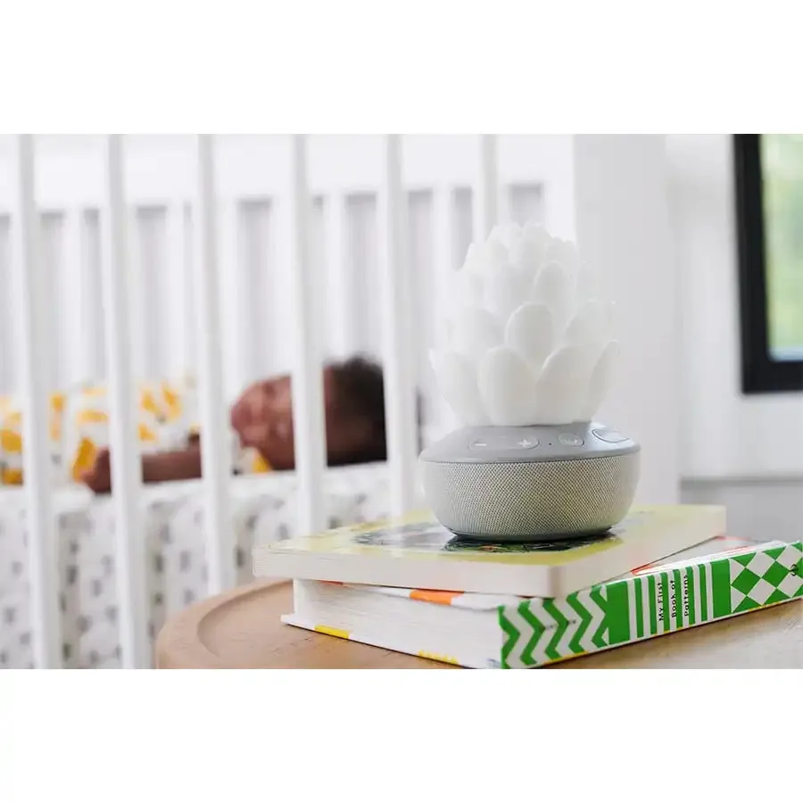 Skip Hop Terra Cry Activated Soother