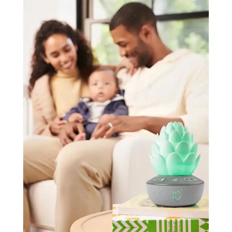 Skip Hop Terra Cry Activated Soother