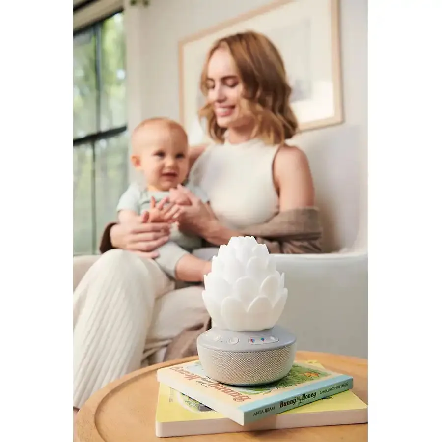 Skip Hop Terra Cry Activated Soother