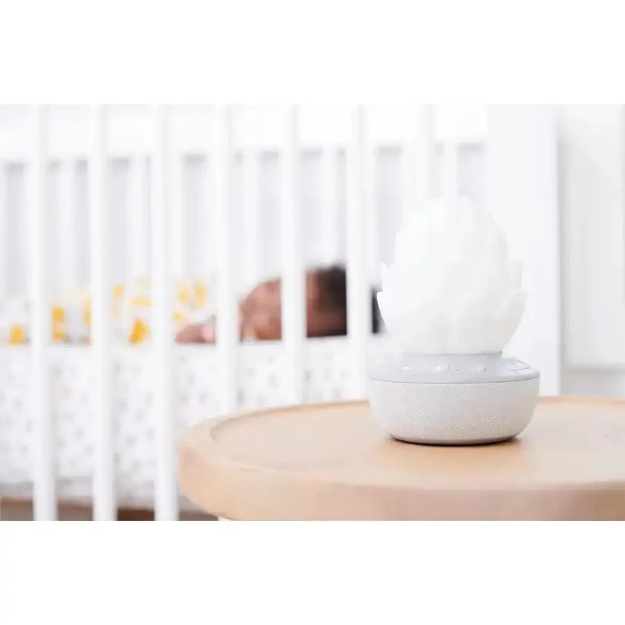 Skip Hop Terra Cry Activated Soother