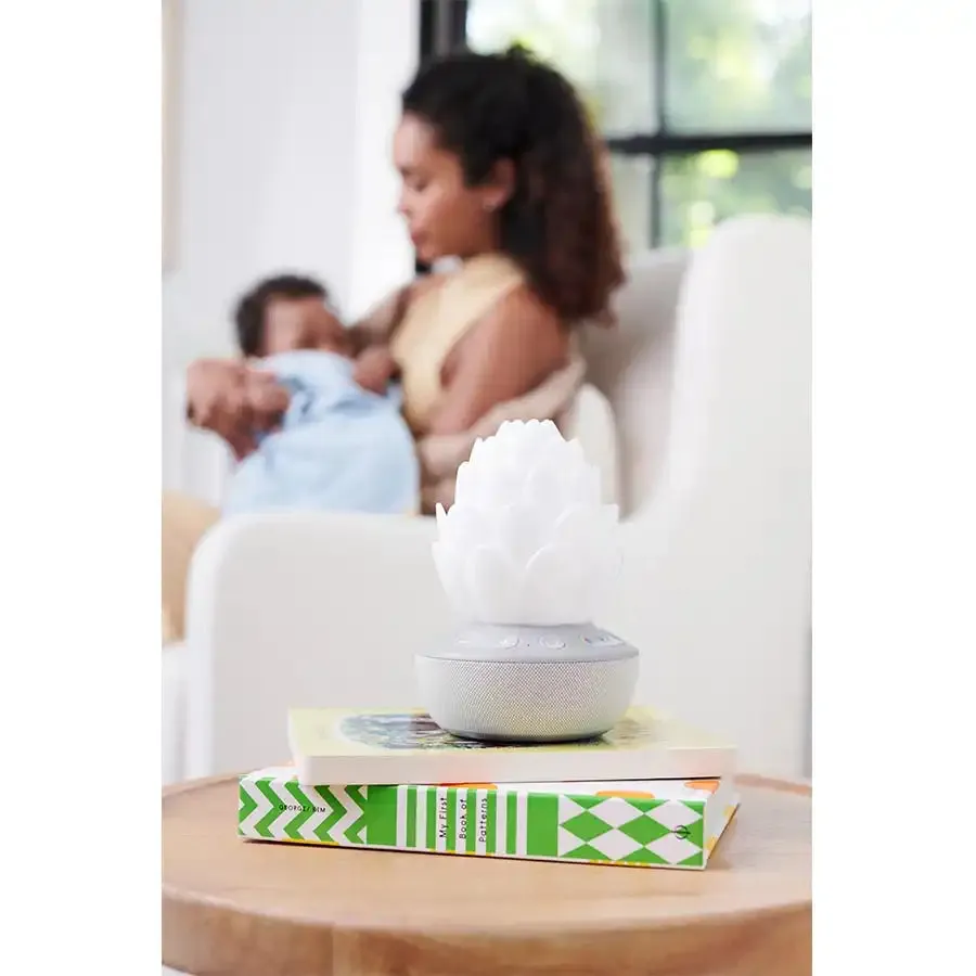 Skip Hop Terra Cry Activated Soother