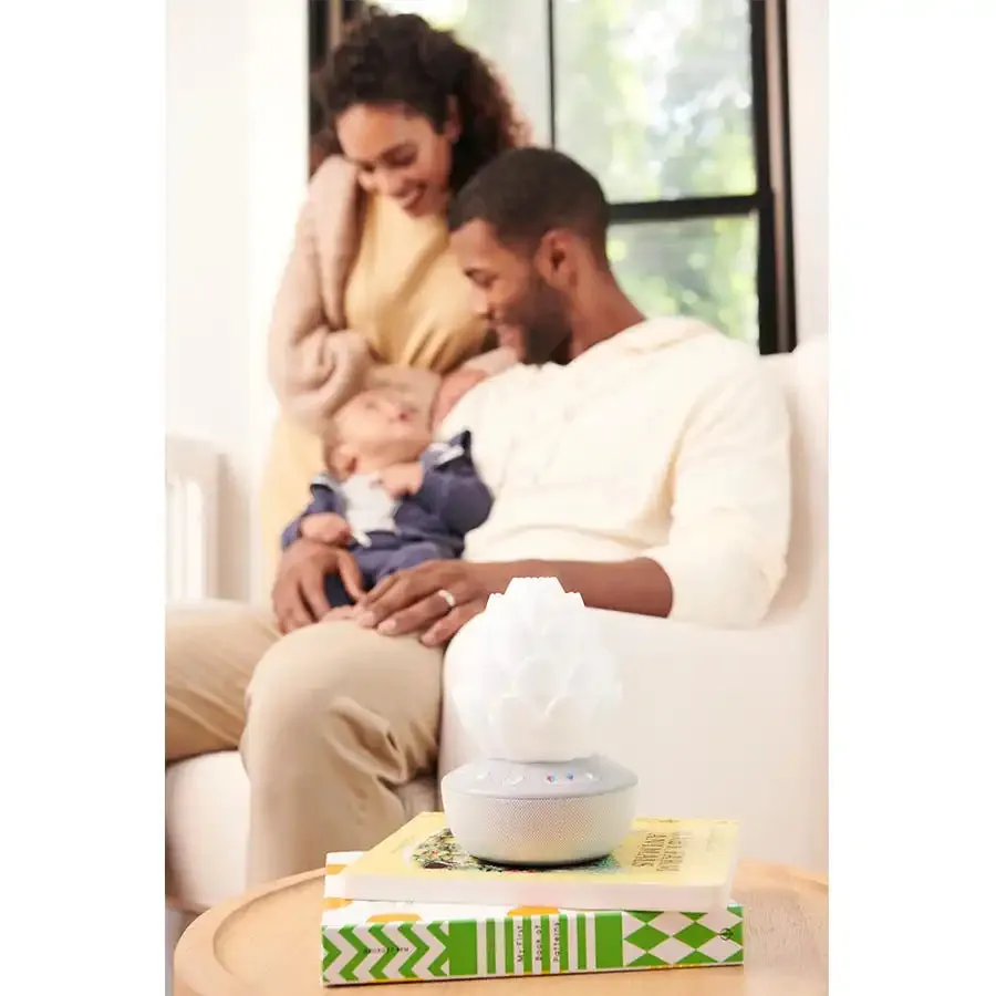 Skip Hop Terra Cry Activated Soother