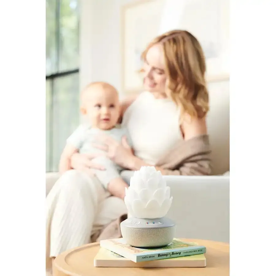 Skip Hop Terra Cry Activated Soother