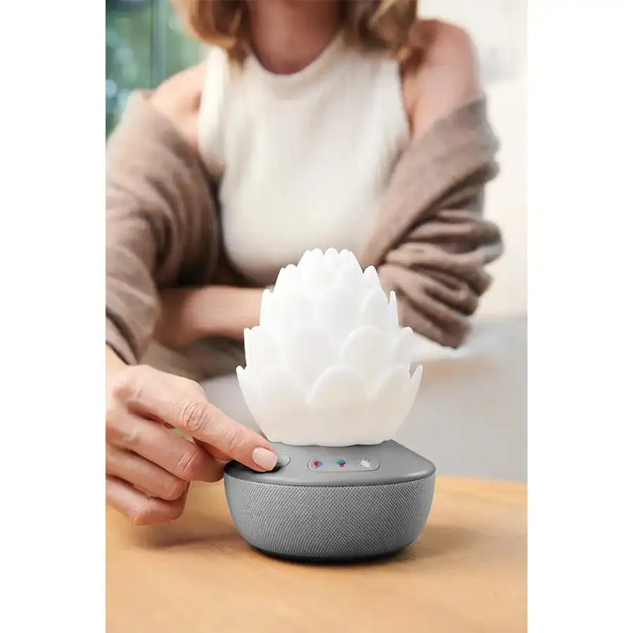 Skip Hop Terra Cry Activated Soother