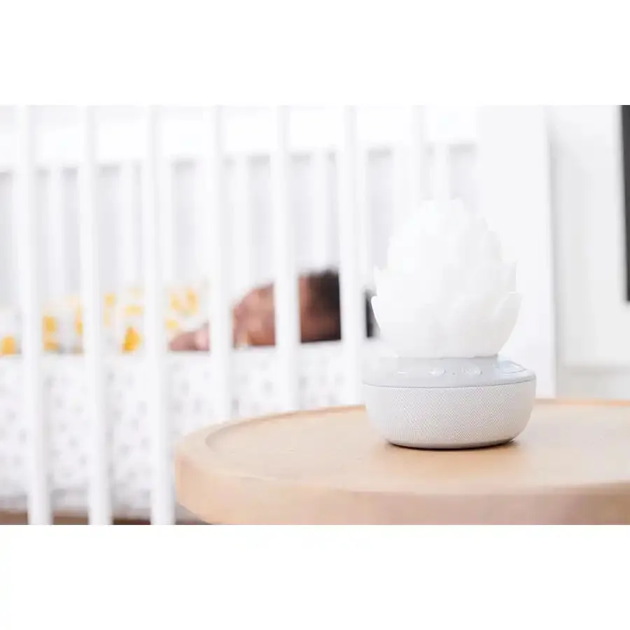 Skip Hop Terra Cry Activated Soother