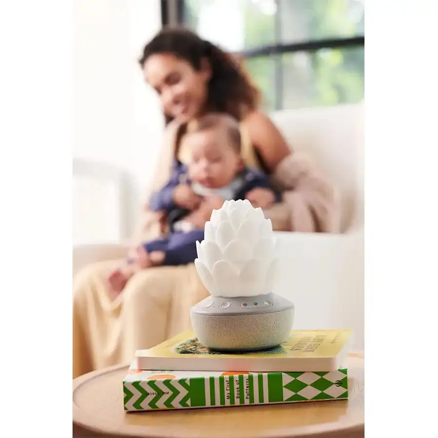 Skip Hop Terra Cry Activated Soother