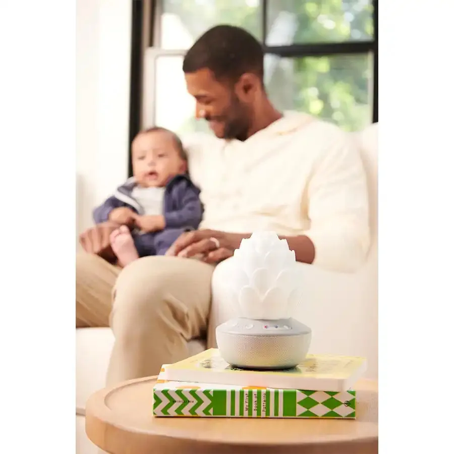 Skip Hop Terra Cry Activated Soother