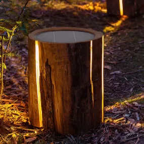 Solar Power illuminated Stub Outdoor Lights