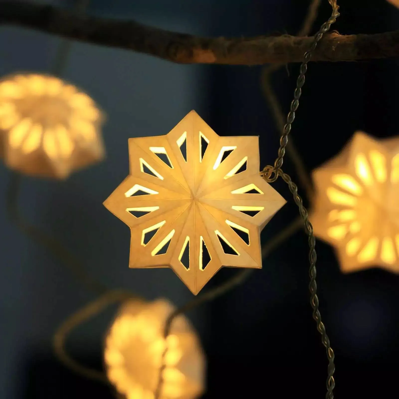 Stellar Lumina String Light