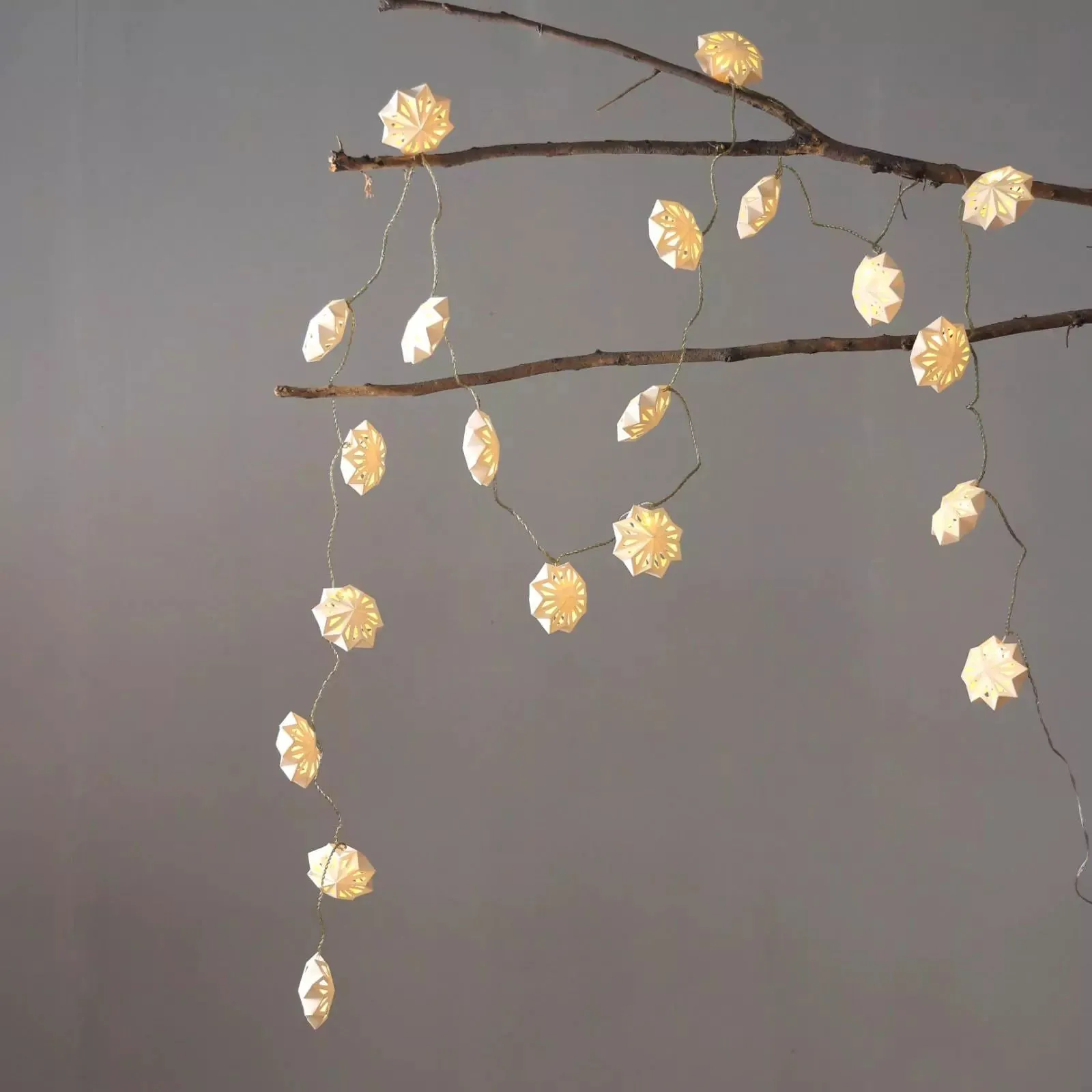 Stellar Lumina String Light